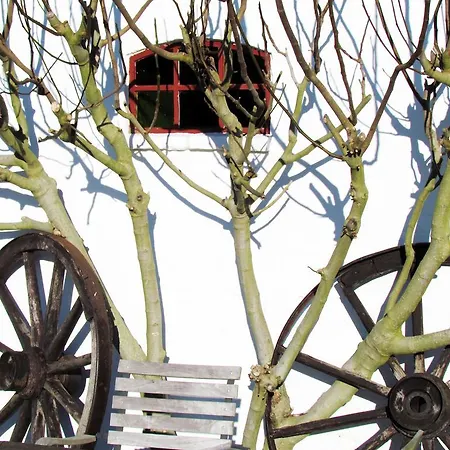 Affittacamere Ferienanlage Margaretenhof 4*